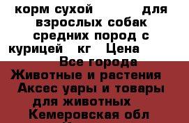 корм сухой pro plan для взрослых собак средних пород с курицей 14кг › Цена ­ 2 835 - Все города Животные и растения » Аксесcуары и товары для животных   . Кемеровская обл.,Калтан г.